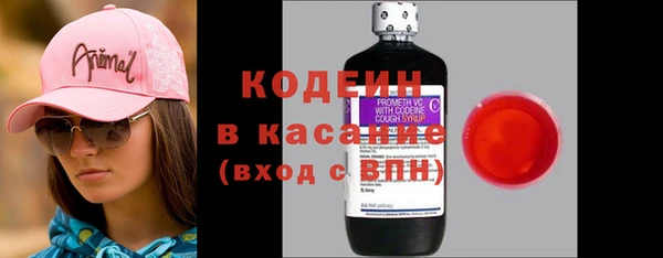 прущие грибы Осинники