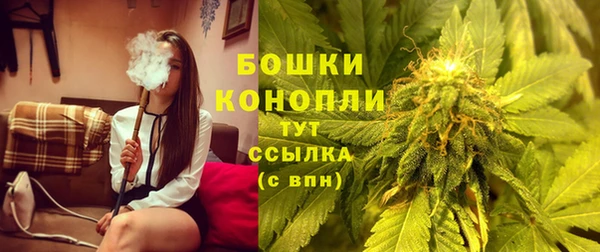 прущие грибы Осинники