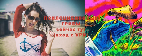 прущие грибы Осинники