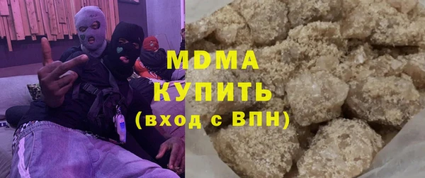 шишки Бородино