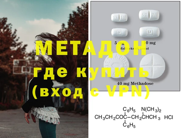 прущие грибы Осинники