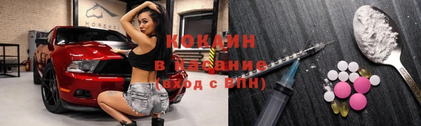 прущие грибы Осинники