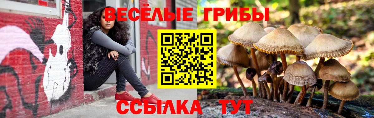 купить наркоту  Вход с VPN  Галлюциногенные грибы GOLDEN TEACHER  Биробиджан  Псилоцибиновые грибы прущие грибы 